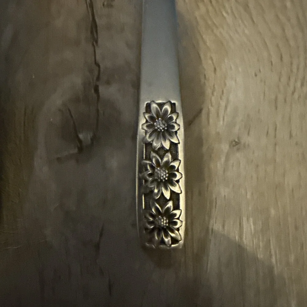 Wm Rogers Custom Stainless IS Suncrest Spring Charm 2‎ Pc Serving Spoon Set